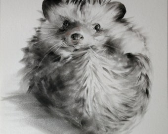 A4, Charcoal drawing on paper, signed by the Artist. Original drawing (NOT A PRINT) of Hedgehog, Collectible