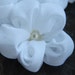 see more listings in the Bridal FLOWERS section