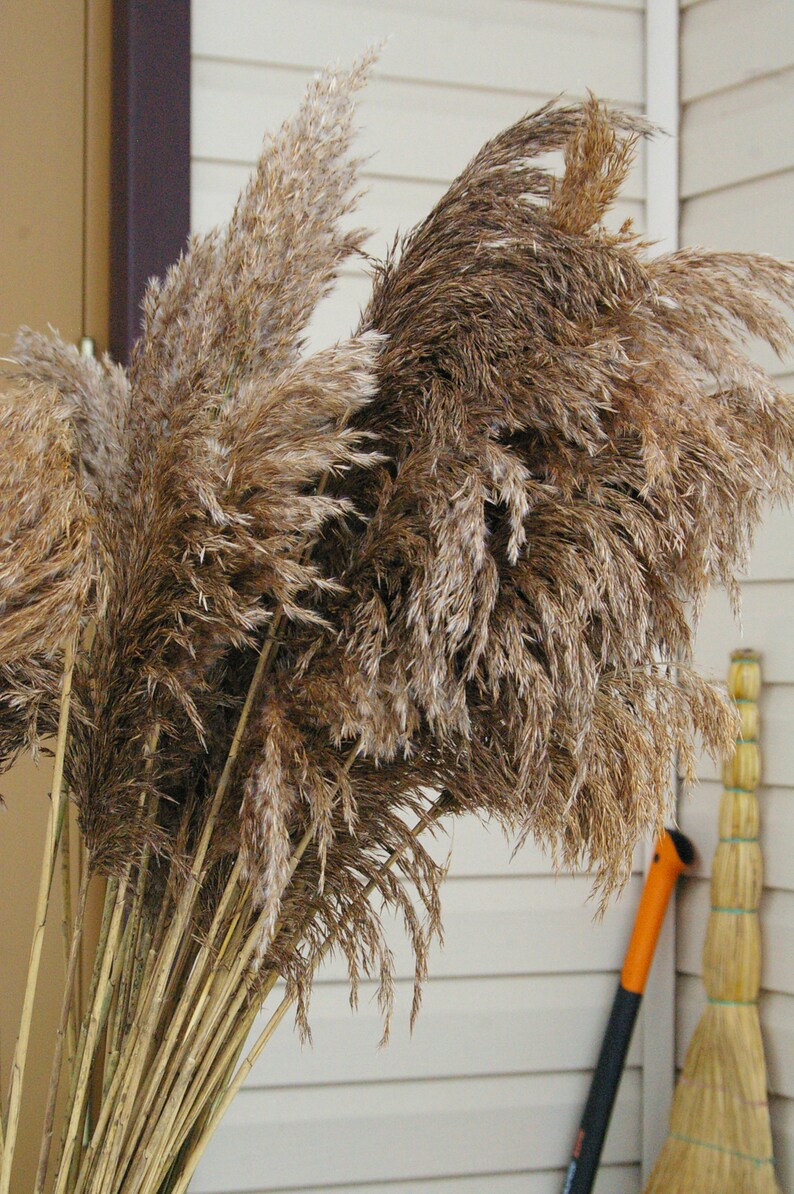 Large dried flower arrangement/tall vase Etsy
