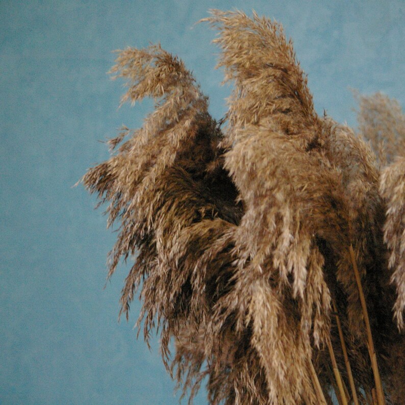 Large dried flower arrangement/tall vase Etsy