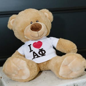 Big Apple Teddy Bear / Sorority Teddy Bear / Sorority Stuffed Animal / Sorority Decor / Greek Decor