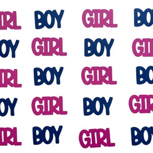 Pink and Blue Gender Reveal Confetti - Girl or Boy Confetti - Custom Gender Reveal - Girl or Boy Baby Shower Decor - Gender Reveal Decor