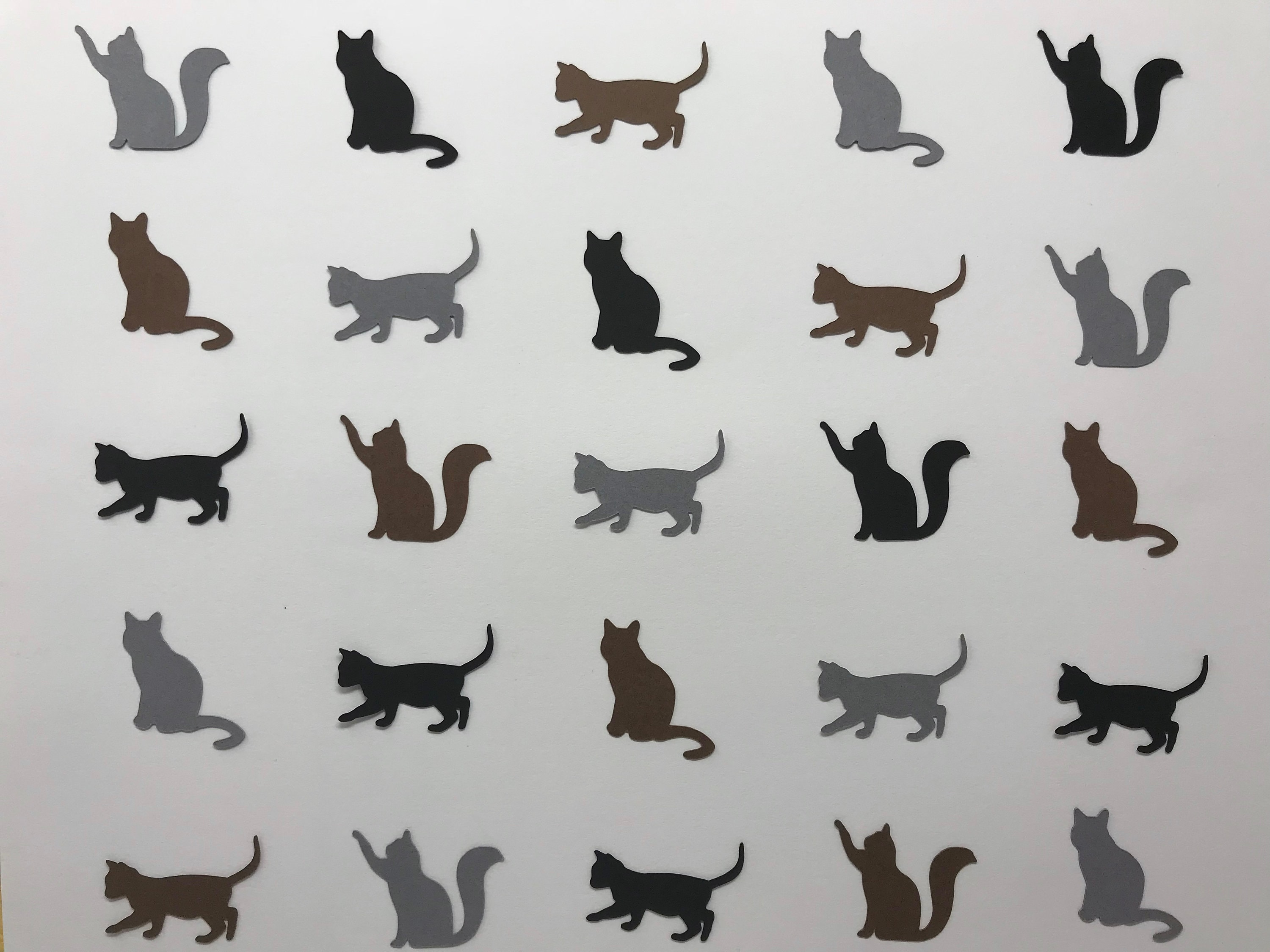 Cat Confetti Kitten Confetti Cat Birthday Party Cat Etsy