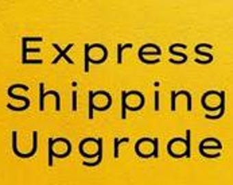 Express Shipping Upgrade 3-7 business days Worldwide --- UPS/FedEx/NovaPost/CIRRO/GOFO Express
