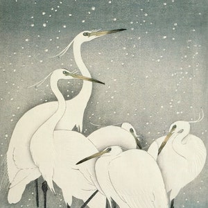 Ohara Koson : Group of Egrets (1925) Canvas Gallery Wrapped or Framed Giclee Wall Art Print Digitally Remastered (D6040)