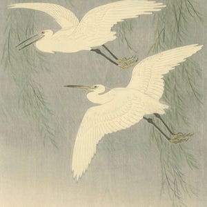 Ohara Koson : White Herons and Willow (1926) Canvas Gallery Wrapped or Framed Giclee Wall Art Print Digitally Remastered (D6040)