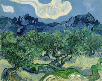 Vincent van Gogh : The Olive Trees (1889) Canvas Gallery Wrapped or Framed Giclee Wall Art Print Digitally Remastered (D5060)