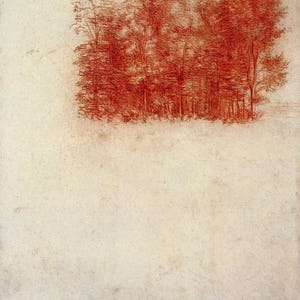 Leonardo da Vinci: Un boschetto di alberi (1508) Stampa artistica su tela incorniciata o avvolta in una galleria d'arte Giclée, rimasterizzata digitalmente (D6050)