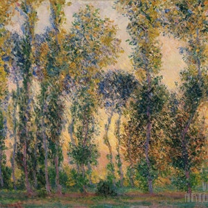 Claude Monet : Poplars at Giverny  Sunrise (1888) Canvas Gallery Wrapped or Framed Giclee Wall Art Print (D4560)