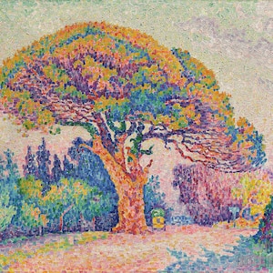 Paul Signac The Pine Tree at Saint-Tropez 1909 Canvas Gallery Wrapped or Framed Giclee Wall Art Print D5060 image 1