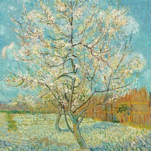 Vincent van Gogh : Pink Peach Tree Canvas Gallery Wrapped or Framed Giclee Wall Art Print Digitally Remastered (D6045)