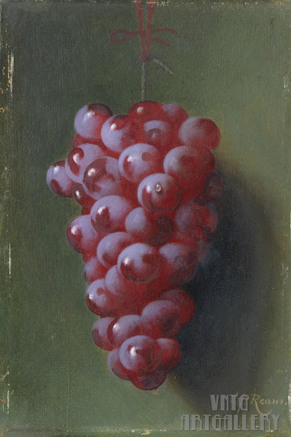 Tableau Nature Morte Aux Raisins - Carducius Plantagenet Ream - Prêt à Accrocher