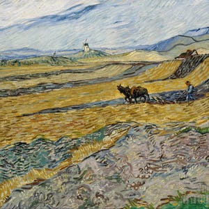 Vincent van Gogh: Campo cercado con labrador (1889). Impresión giclée para pared, enmarcada o en lienzo, remasterizada digitalmente (D5060).