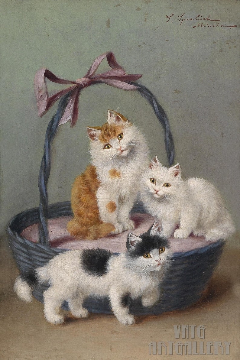 Sophie Sperlich : Katzen Im Korb c1906 Canvas Gallery Wrapped Giclee Wall Art Print D6040 image 1