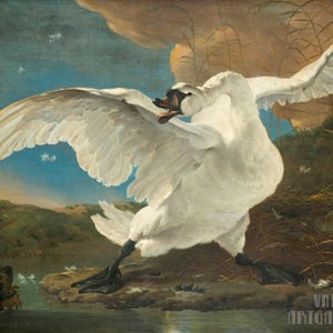 Jan Asselijn: Il cigno minacciato (1650) Stampa artistica da parete Giclée su tela, incorniciata o avvolta in una galleria, rimasterizzata digitalmente (D5060)