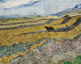 Vincent van Gogh : Enclosed Field with Ploughman (1889) Canvas Gallery Wrapped or Framed Giclee Wall Art Print (D5060)
