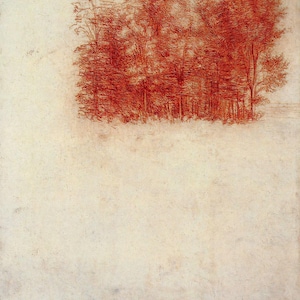 Leonardo da Vinci : A Copse of Trees (1508) Canvas Gallery Wrapped or Framed Giclee Wall Art Print Digitally Remastered (D6050)