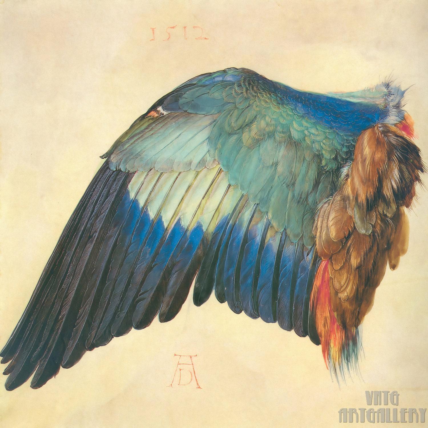 Albrecht Dürer : Wing of a Blue Roller (1512) Canvas Gallery Wrapped or Framed Giclee Wall Art Print Digitally Remastered (D50)