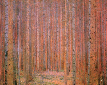 Gustav Klimt : Fir Forest 1 Canvas Gallery Wrapped or Framed Giclee Wall Art Print (D50)