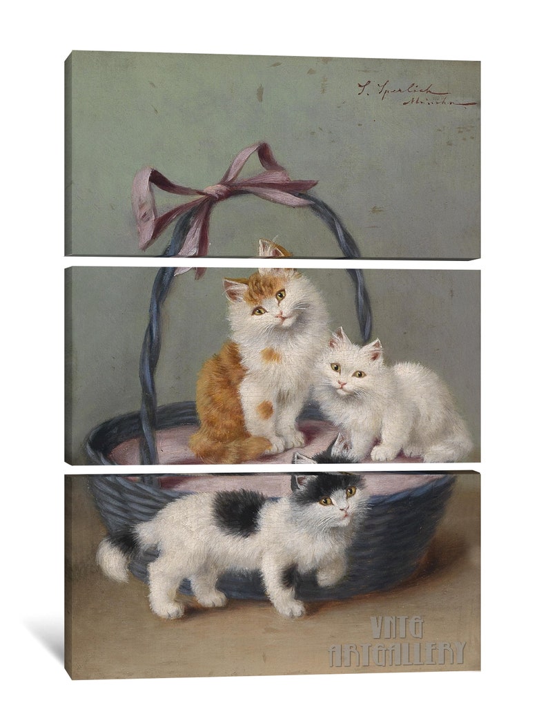 Sophie Sperlich : Katzen Im Korb c1906 Canvas Gallery Wrapped Giclee Wall Art Print D6040 3 Panel Stretched Canvas