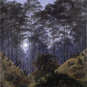 Caspar David Friedrich: Forest Interior By Moonlight (1823-30) Canvas Gallery Wrapped Giclee Wall Art Print Digitally Remastered (D6040)