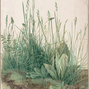 Albrecht Dürer : The Large Piece of Turf (1503) Canvas Gallery Wrapped or Framed Giclee Wall Art Print Digitally Remastered (D6045)