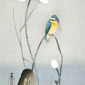 Ohara Koson (1900-1945) - Kingfisher with Lotus Flower  Canvas Gallery Wrapped or Framed Giclee Wall Art Print Digitally Remastered (D6035)