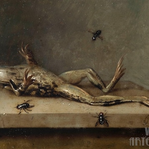 Ambrosius Bosschaert II : Grenouille morte avec des mouches (1630) Toile tendue ou encadrée, impression giclée d'art mural remasterisé numériquement (D4060)