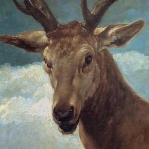 Diego Velazquez : Head of a Stag (1634)  Canvas Gallery Wrapped or Framed Giclee Wall Art Print Digitally Remastered (D6045)