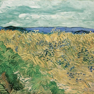 Vincent Van Gogh: Weizenfeld mit Kornblumen (1890) Leinwand Galerie gewickelt oder gerahmt Giclee Wandkunst Druck digital remastered (D4560)