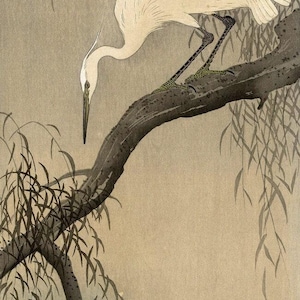 Ohara Koson : White Heron on Tree Branch (1910) Canvas Gallery Wrapped or Framed Giclee Wall Art Print Digitally Remastered (D6025)