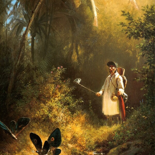 Carl Spitzweg : The Butterfly Hunter (1840) Canvas Gallery Wrapped or Framed Giclee Wall Art Print (D6045)