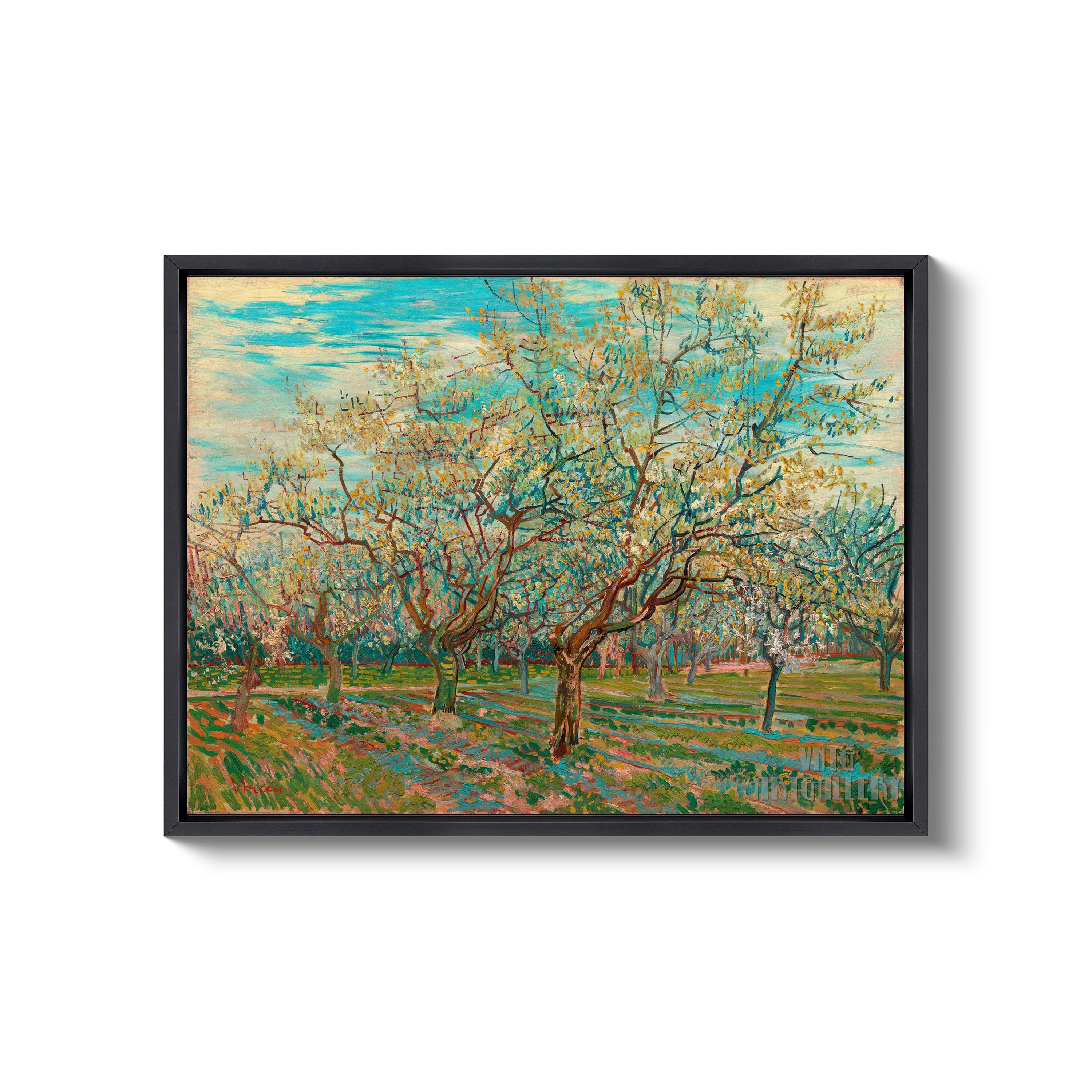 Vincent Van Gogh : the White Orchard 1888 Canvas Gallery - Etsy