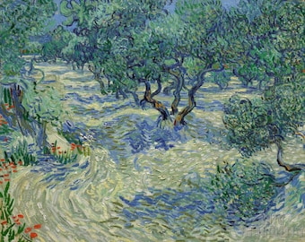Vincent Van Gogh : Olive Orchard (1889) Canvas Gallery Wrapped or Framed Giclee Wall Art Print Digitally Remastered (D5060)