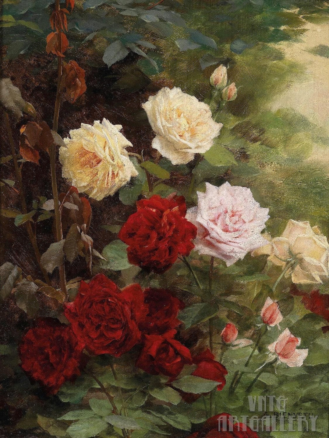 薔薇の絵 hq720.jpg?sqp=-