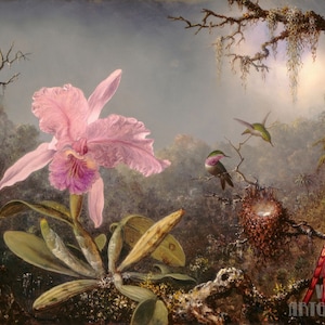 Martin Johnson Heade : Cattleya Orchid and Three Hummingbirds (1871) Canvas Gallery Wrapped or Framed Giclee Wall Art Print (D4560)