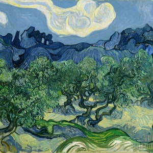 Vincent van Gogh : The Olive Trees (1889)  Canvas Gallery Wrapped or Framed Giclee Wall Art Print (D5060)