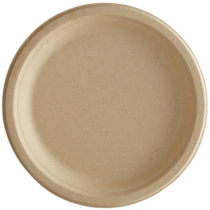 Bagasse Disposable Plates: Eco-Friendly Sugarcane Tableware, Made in USA
