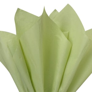May include: A sheet of light green tissue paper, folded and crumpled, creating a soft and delicate texture.