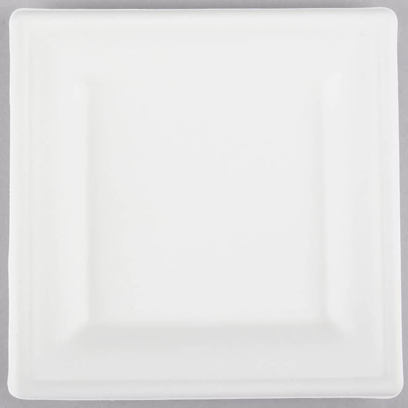 Party Wedding Paper Plates Plates 50 ct 10 Sugarcane Compostable EcoChoice Biodegradable Square Plates Baby Shower Tableware