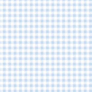 May include: A seamless pattern of alternating white and light blue squares, creating a classic gingham design.