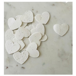 Papier pour graines Bloom & Grow fait main,Graines de fleurs sauvages,Étiquettes cadeaux en papier graine recyclé intégré,Carte-cadeau,Papeterie,Fournitures d'emballage cadeau