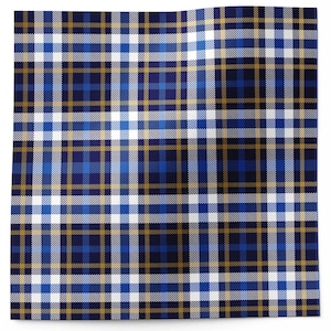 Seidenpapier blau kariert,Design Seidenpapier,Geschenk Seidenpapier,Geschenk Verpackung,Geburtstag,Hochzeit,Vatertag,Baby,Geburtstag,20x30"