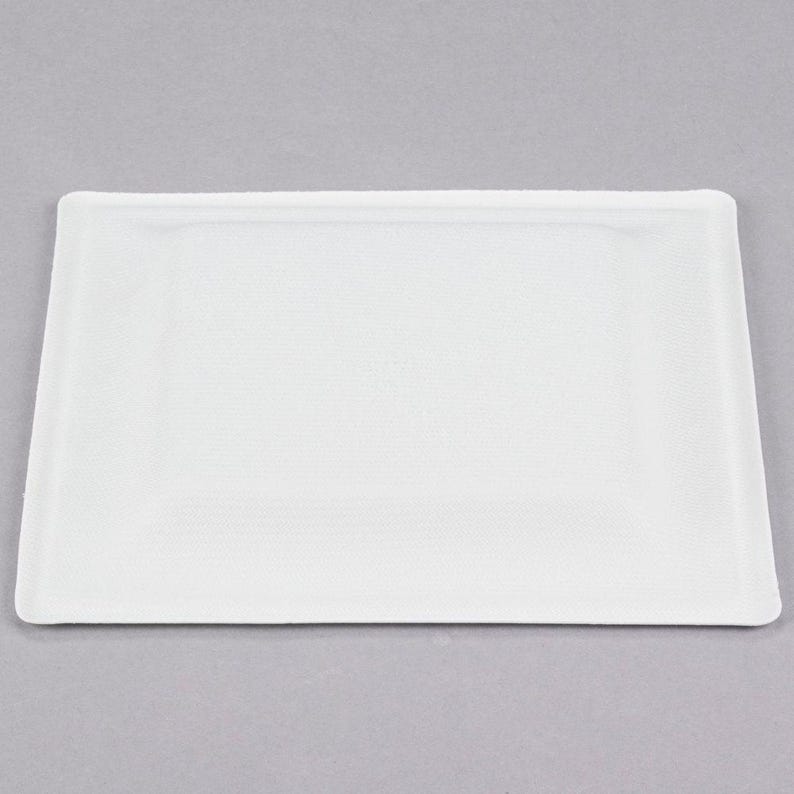 Party Wedding Paper Plates Plates 50 ct 10 Sugarcane Compostable EcoChoice Biodegradable Square Plates Baby Shower Tableware