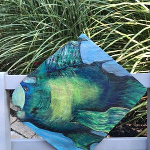 Fancy fish on slate