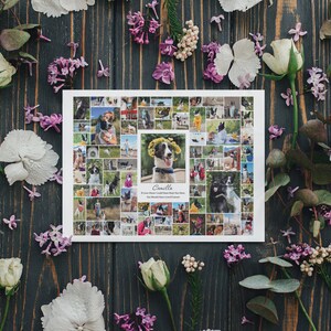 May include: A collage of photos of a black and white border collie dog called Camilla. The photos are arranged in a grid pattern and show the dog in various settings, including outdoors, indoors, and with other people. The text "Camilla" is printed in the centre of the collage, along with the words "From the moment I laid eyes on you, my heart knew you were home. You would steal my heart and I'd love you forever."