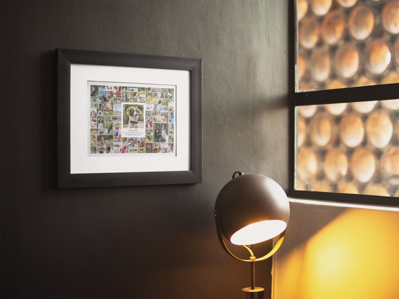 May include: A black framed photo collage with a white mount. The collage features a variety of photos of a dog, including close-ups of the dog's face and photos of the dog playing outside. The collage is hanging on a dark grey wall.