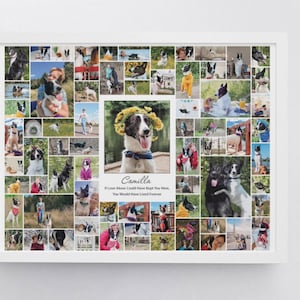 May include: A black and white dog photo collage with the name "Camilla" and the text "If Love Alone Could Have Kept You Here, You Would Have Lived Forever".
