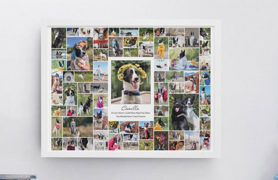 Photo collage Pet memorial gift with photo pet dog memorial gift dog remembrance gift custom pet gift cat memorial gift pet loss gifts
