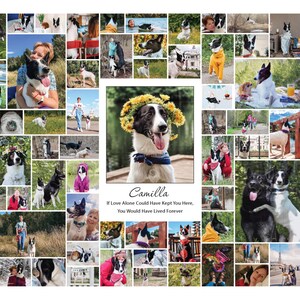 Photo collage Pet memorial gift with photo pet dog memorial gift dog remembrance gift custom pet gift cat memorial gift pet loss gifts image 4